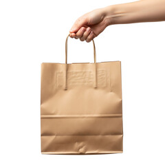 Hand holding a brown paper shopping bag against a white background