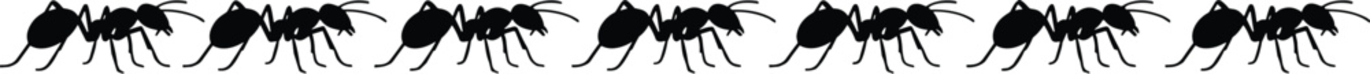 Ant silhouette pattern, black vector insects, horizontal row, repeating design, identical ants, pest control, nature symbol, graphic border, symmetry, editable layout, insect line