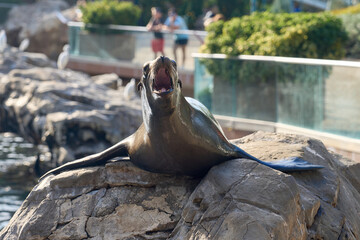 Fototapete bei efototapeten.de bestellen   