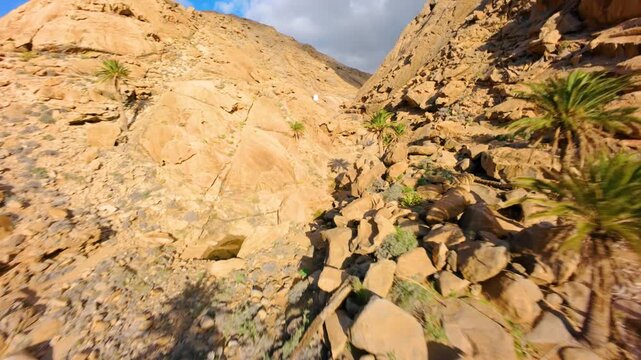 
Barranco de las Pe&ntilde;itas, Betancuria Rural Park, Fuerteventura, Canary Islands