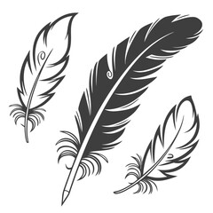 Obraz premium Set of Bird Feather. Feathers vector set in a flat style. Pen icon. Black quill feather silhouette. Plumelet collection isolated on white background 