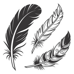 Obraz premium Set of Bird Feather. Feathers vector set in a flat style. Pen icon. Black quill feather silhouette. Plumelet collection isolated on white background 
