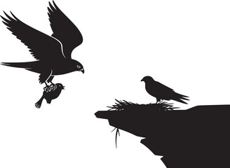 Falcon hunting silhouette an eagle catching its prey from a nest on a cliff transparent background
