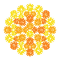 Citrus fruit slices vector illustration of orange and lemon circle patterns