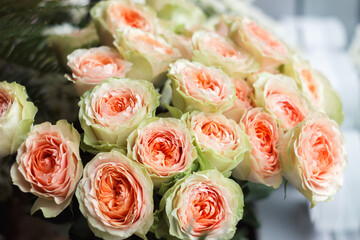 A beautiful bouquet of creamy white and peach roses (Rosa hybrid) captured in natural daylight. The gentle petals and pastel tones evoke feelings of tenderness, romance, and timeless floral elegance
