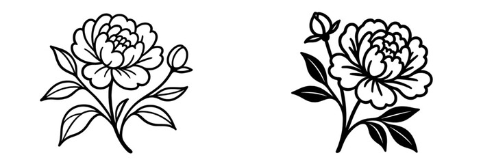 Floral peony vector illustrations isolated on white background
