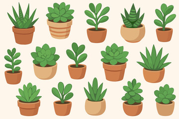 Fototapeta premium Variety of green plants in different pots arranged neatly on a light background showing indoor plant decor