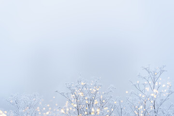 Delicate white branches in frost and blurred golden highlights