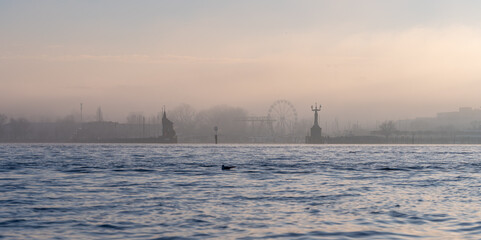 On a foggy winter day in pastel colors, eurasian coot swims on lake with the port of Konstanz, the Imperia statue, and the Ferris wheel in the background. Constance, Baden-W&uuml;rttemberg, Germany.
