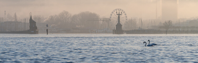 On a foggy winter day in pastel colors, a pair of swans float on a lake, with the port of Konstanz, the Imperia statue, and the Ferris wheel in the background. Konstanz, Baden-W&uuml;rttemberg, Germany.