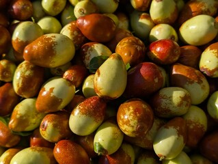 vibrant fresh jujubes glistening in the market sunlight