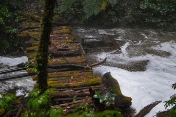 Obraz premium waterfall in the woods