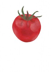 Watercolor digital illustration of a ripe tomato, isolated on a transparent background for easy use in design and commercial projects.
