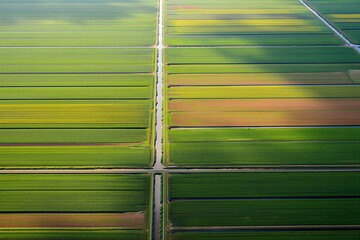 The view shows vast fields with sections of green and brown under a setting sun. The horizon appears distant with farms visible in the background.