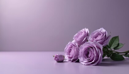Close up photo of elegant purple roses bouquet. Gentle light falls on flowers. Floral arrangement on soft lilac background. Romance and beauty concept. Creative product presentation background.