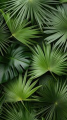 Obraz premium Detailed close-up of a green palm leaf highlights its unique textures and shadows, creating a soothing backdrop for various uses