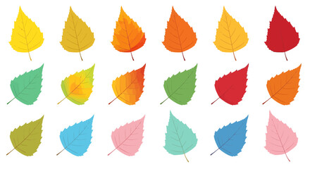 Obraz premium Varied hues of birch leaves displayed in grid pattern against a crisp white canvas