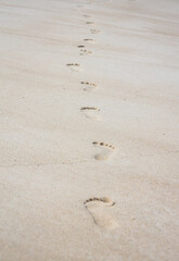 Footprints in sand leading into distance as symbolic journey