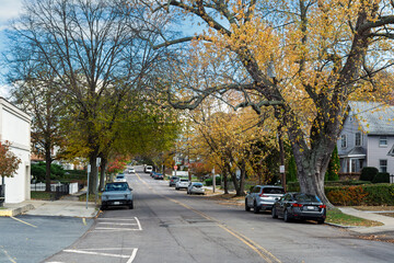Peaceful suburban street lined with tall autumn trees and parked cars in Brighton, Boston area, Massachusetts, USA