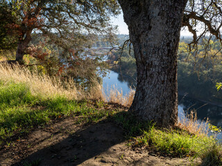 Scenic view at American river Sacramento area