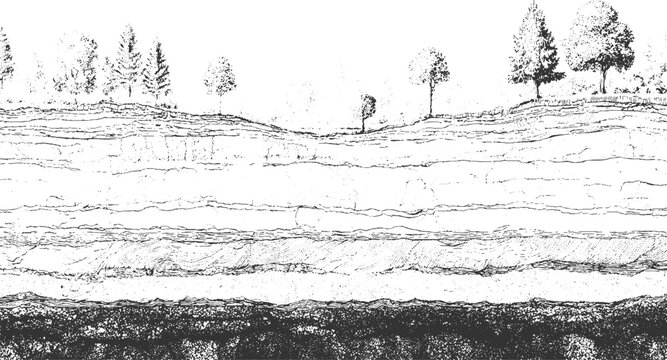 Black and white abstract textured background with horizontal layers and cracked patterns vector. cross section illustration of soil layers with grass and water vector.