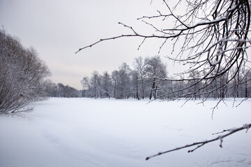 winter snowy landscape, lake covered with snow, winter forest