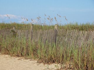 myrtle beach beach fence natural landscape
