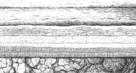 Black and white cross section illustration of soil layers with grass and water vector. Detailed black and white illustration of folded geological strata and rock formations geology. 
