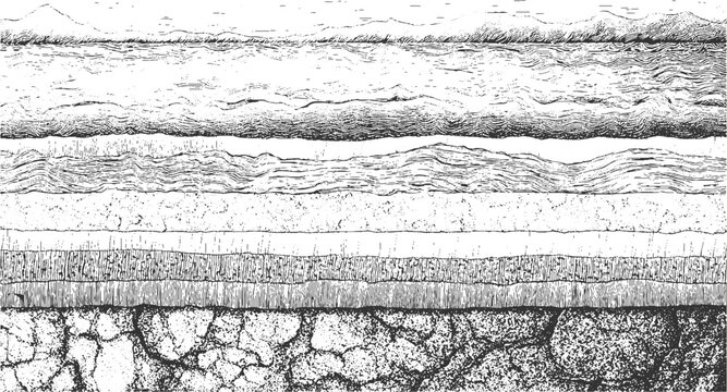 Black and white cross section illustration of soil layers with grass and water vector. Detailed black and white illustration of folded geological strata and rock formations geology. 