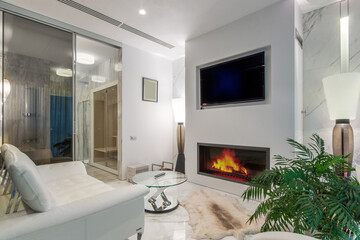 Modern living room with fireplace and elegant decor in a stylish urban apartment