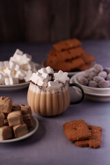 cozy indoor setting with a mug of creamy hot chocolate topped with star-shaped marshmallows surrounded by plate of biscuits, fudge, and truffles on a wooden table, elevated, sinfully, temptation