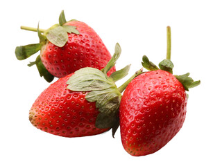 Three Ripe Red Strawberries Isolated on Transparent