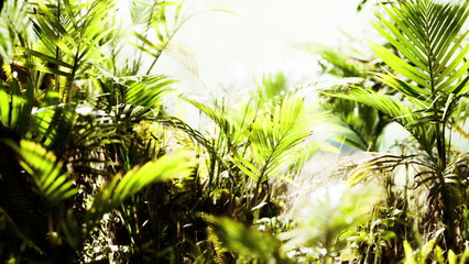 Sunlight filters through vibrant green leaves, creating an enchanting atmosphere in a tropical forest. The lively plants sway gently, promising adventure and serenity.