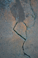 Grietas en el muro, texturas org&aacute;nicas