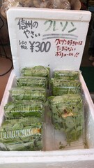 道の駅　信州産のクレソン