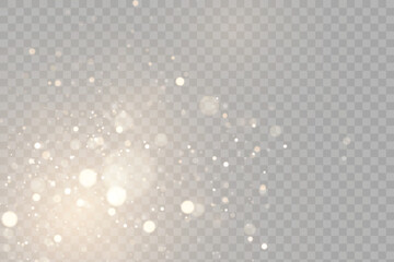 Sparkling golden particles, glowing bokeh lights isolated on dark transparent background	
