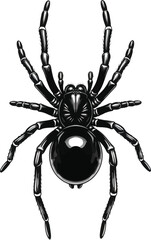 Tarantula Spider Detailed Engraved Style Vector
