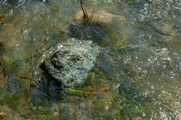 The vibrant river current flows rapidly over the smooth rock barrier. Creating a sparkling water surface texture ideal for a natural background source. Use as nature texture.
