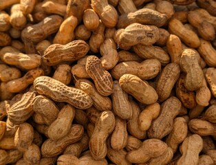 close up of peanuts in shell