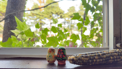 窓から見える風景　ツタの緑とトウモロコシ