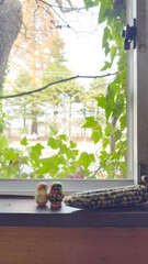 窓から見える風景　ツタの緑とトウモロコシ