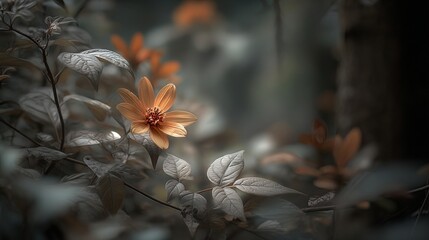 Close-up of yellow wildflowers amid blurred gray leaves, creating a soft, natural aesthetic