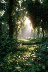 Obraz premium Nature Path in Sunlit Clearing