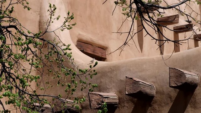 Trees and a flying bird frame historic 19th and 20th century buildings in and around the Plaza in Santa Fe, New Mexico, USA