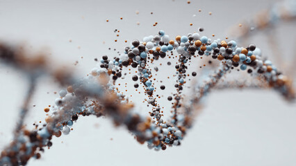 DNA Molecule Structure