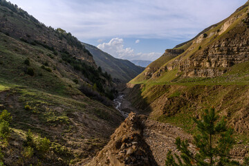 Scenic Mountain Valley with River and Cloudy Sky