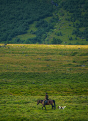 Naklejka premium Horse rider with dog crossing green mountain valley