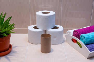 White toilet paper rolls with an empty cardboard tube and an aloe vera plant on a bathroom countertop