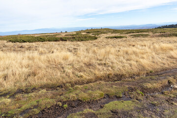 Landscape of Vitosha Mountain near Kamen Del peak, Bulgaria
