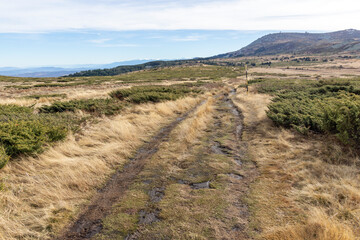 Landscape of Vitosha Mountain near Kamen Del peak, Bulgaria